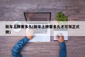新车上牌要多久(新车上牌要多久才可领正式牌)