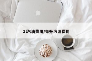 1l汽油费用/每升汽油费用