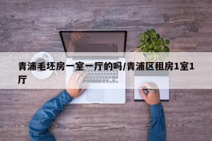 青浦毛坯房一室一厅的吗/青浦区租房1室1厅
