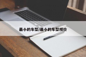 最小的车型/最小的车型授价