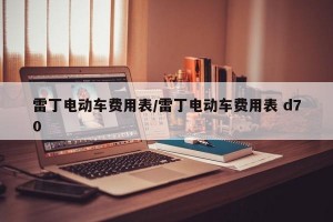 雷丁电动车费用表/雷丁电动车费用表 d70
