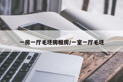 一房一厅毛坯房租房/一室一厅毛坯