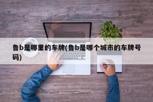 鲁b是哪里的车牌(鲁b是哪个城市的车牌号码)