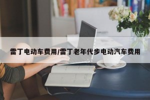 雷丁电动车费用/雷丁老年代步电动汽车费用