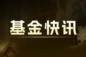 中证 A 系列指数下跌：政策发力稳定资产